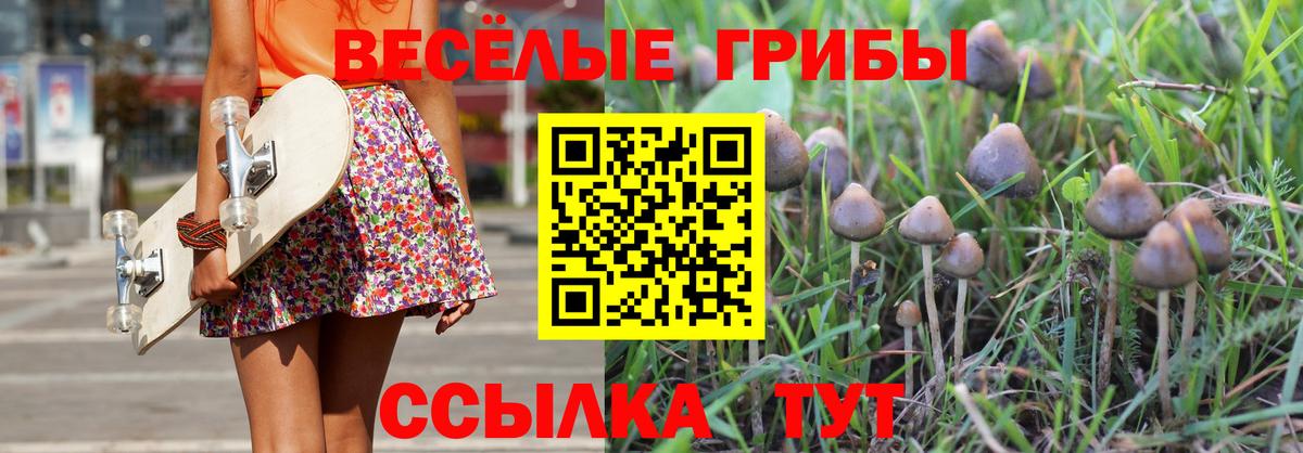 Котельники  Галлюциногенные грибы MAGIC MUSHROOMS  Вход с VPN 
